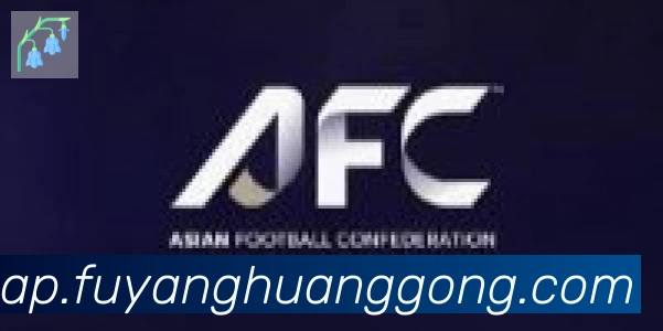 华体会在线官网合作伙伴