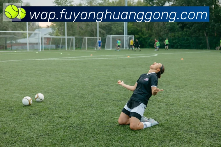 华体会在线官网全站App